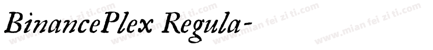 BinancePlex Regula字体转换